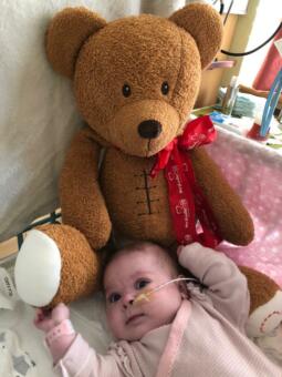 Herzteddy Familie Schwinghammer für HK Elena Marie Zmugg