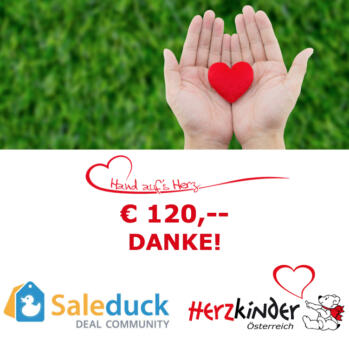 Scheck 2018 Saleduck